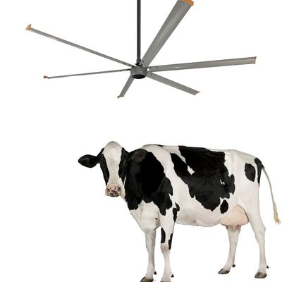 Plafondventilator voor bouwplaats Ventilatie 3,6 m Hoog volume 1500W 220V 10ft HVLS ventilator