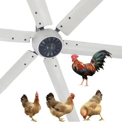 Rustige 1.5kW 24FT High Speed HVLS Grote industriële elektrische plafondventilator met PMSM-motor