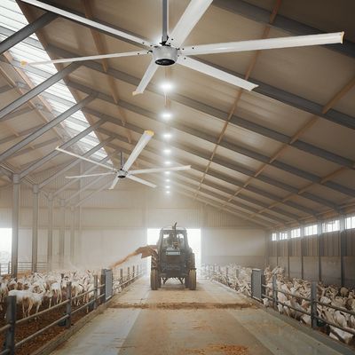 Rustige 1.5kW 24FT High Speed HVLS Grote industriële elektrische plafondventilator met PMSM-motor