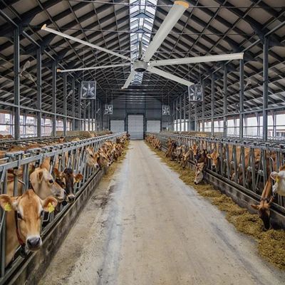 Plafondventilator AMTHI 220v 1500w 22ft 6.6m 6.7m Grote industriële HVLS-ventilator met 6 messen