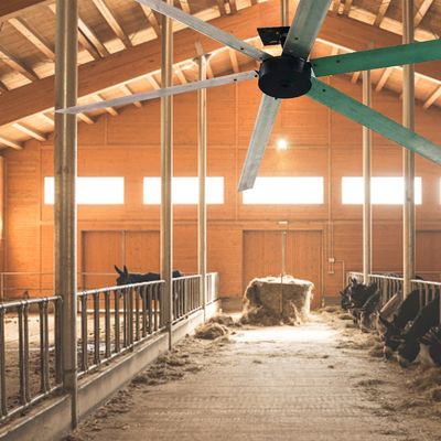 1.5kw 3 fase AC inductie BLDC ventilator motor voor 10ft 12ft 16ft 18ft Big Wind Workshop