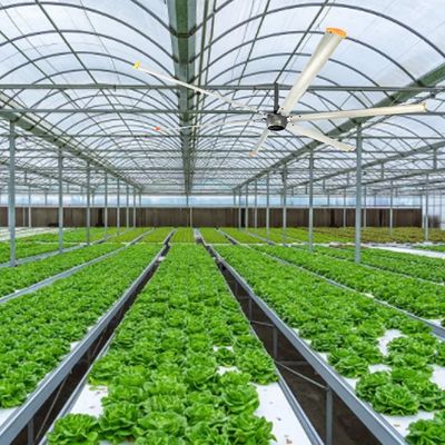 Op maat gemaakte 7,3m AMTHI lage snelheid hoog volume 1100W industriële plafondventilator voor boerderijen