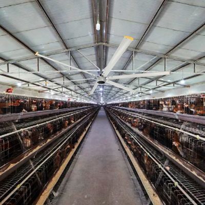 Op maat gemaakte 7,3m AMTHI lage snelheid hoog volume 1100W industriële plafondventilator voor boerderijen