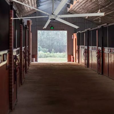 Permanente magneet synchrone HVLS elektrische ventilator voor 220V/380V stroomvoorziening door AMCLING